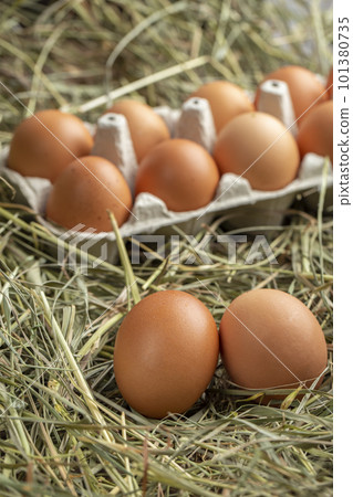 Chicken eggs in a tray and in hay. Chicken eggs in a tray and in hay. 101380735