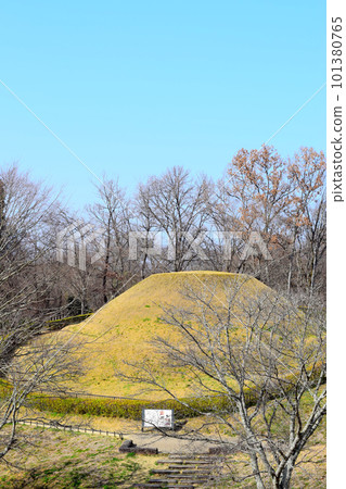[Nationally Designated Special Historic Site] Takamatsuzuka Burial Mound 101380765