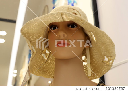 beautiful girl in a hat 101380767
