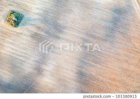 green point in the agricultural field  101380913