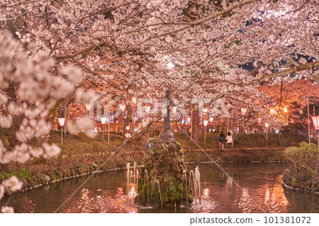 Takada Park Joetsu cherry blossom light up Takada Park Joetsu cherry blossom light up 101381072