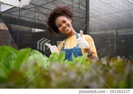 Portrait of happy half Thai half African woman farmer standing behind vegetable plot in her backyard. Concept of agriculture organic for health, Vegan food and Small business. Portrait of happy half Thai half African woman farmer standing behind vegetable plot in her backyard. Concept of agriculture organic for health, Vegan food and Small business. 101381237