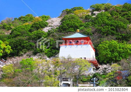 [Wakayama Prefecture] Cherry blossoms in full bloom and Kimiidera (Buddhist temple) 101382804