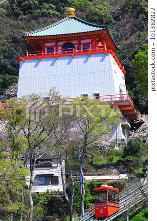 [Wakayama Prefecture] Cherry blossoms in full bloom and Kimiidera (Buddhist temple) 101382822