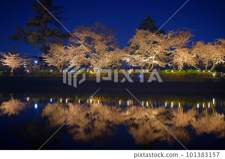 Cherry blossoms at night 101383157