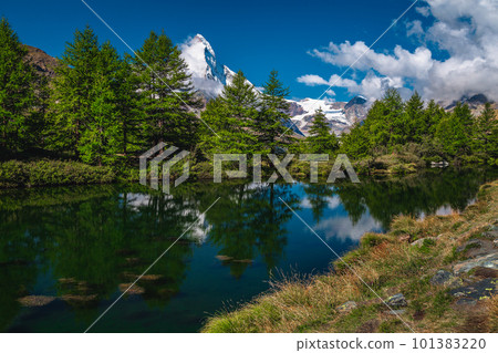 Grindjisee lake and larch forest with Matterhorn peak, Zermatt, Switzerland 101383220