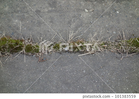 破裂的瀝青路面 101383559