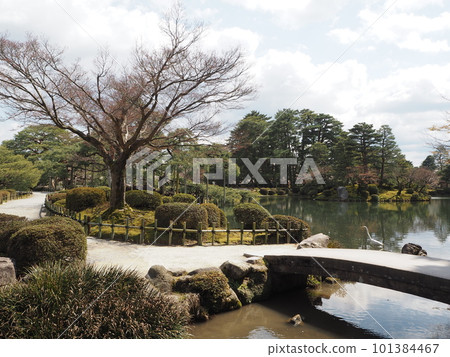 日本三大名園之一兼六園的風景 日本三大名園之一兼六園的風景 101384467
