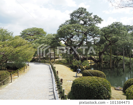 Scenery of Kenrokuen, one of Japan's three great gardens Scenery of Kenrokuen, one of Japan's three great gardens 101384473