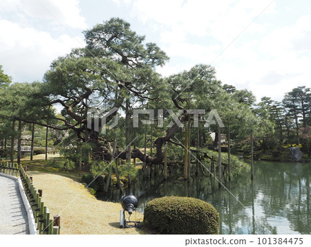 Scenery of Kenrokuen, one of Japan's three great gardens Scenery of Kenrokuen, one of Japan's three great gardens 101384475