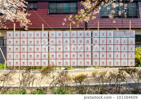 世田谷區區長世田谷區議會議員選舉海報展示區 世田谷區區長世田谷區議會議員選舉海報展示區 101384609