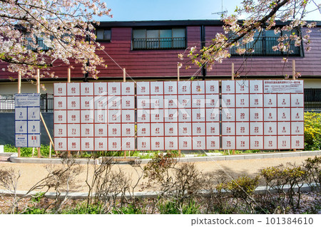 Setagaya Ward Mayor, Setagaya Ward Assembly Member Election Poster Display Area Setagaya Ward Mayor, Setagaya Ward Assembly Member Election Poster Display Area 101384610