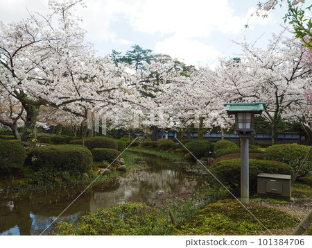 日本三大名園之一的兼六園風光 101384706