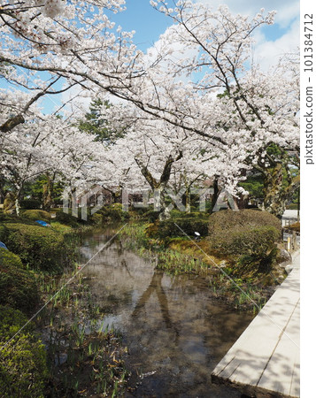 Scenery of Kenrokuen, one of the Three Great Gardens of Japan 101384712