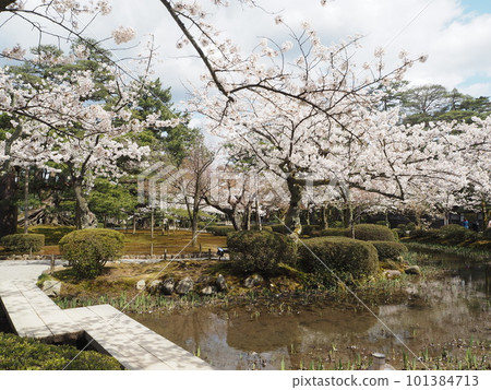 Scenery of Kenrokuen, one of the Three Great Gardens of Japan Scenery of Kenrokuen, one of the Three Great Gardens of Japan 101384713
