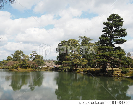 Spring scenery of Kenrokuen, one of the Three Great Gardens of Japan Spring scenery of Kenrokuen, one of the Three Great Gardens of Japan 101384801