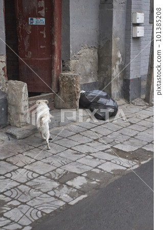2008 Chinese landscape 101385208