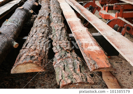 Wooden planks from logs in the sawmill warehouse 101385579