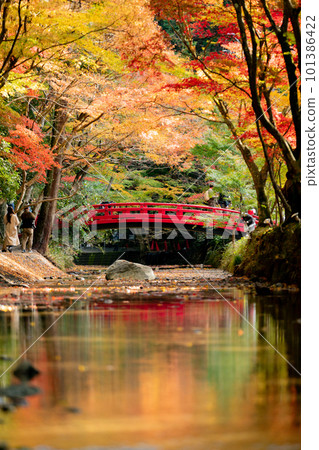 大國神社秋葉和溪流 101386422