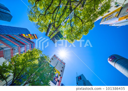 日本的東京城市景觀注意紫外線......太陽和新綠色成為“耀眼”季節的澀谷= 4月9日 101386435