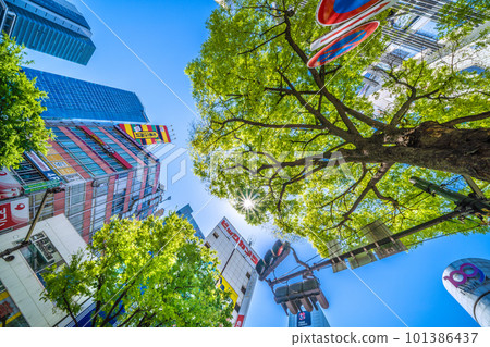 日本的東京城市景觀注意紫外線......太陽和新綠色成為“耀眼”季節的澀谷= 4月9日 101386437