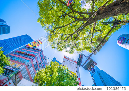 日本的東京城市景觀注意紫外線......太陽和新綠色成為“耀眼”季節的澀谷= 4月9日 日本的東京城市景觀注意紫外線......太陽和新綠色成為“耀眼”季節的澀谷= 4月9日 101386453