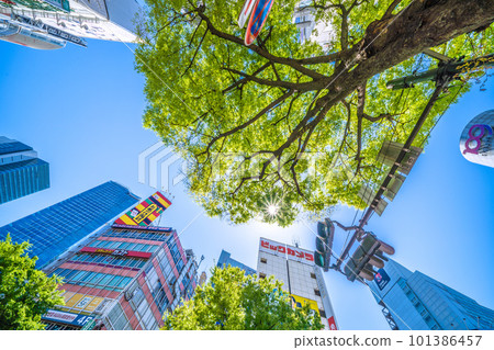 Tokyo cityscape in Japan Attention to ultraviolet rays ... Shibuya where the sun and fresh green became "dazzling" season = April 9 Tokyo cityscape in Japan Attention to ultraviolet rays ... Shibuya where the sun and fresh green became "dazzling" season = April 9 101386457