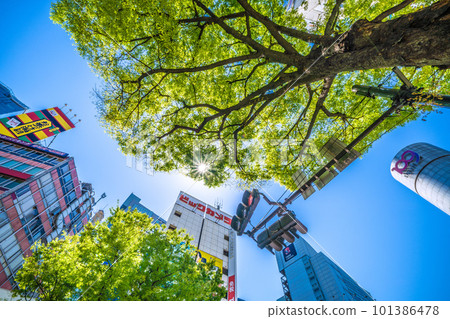 Tokyo cityscape in Japan Attention to ultraviolet rays ... Shibuya where the sun and fresh green became "dazzling" season = April 9 101386478