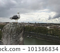 In an old Italian castle (a seagull like a master) 101386834