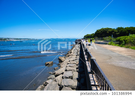 Road along the coast of Enoshima in summer 101386994