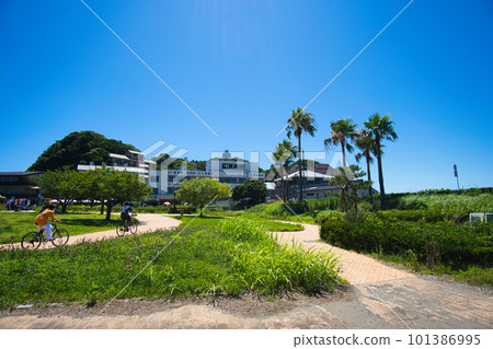 Enoshima Park in summer Enoshima Park in summer 101386995