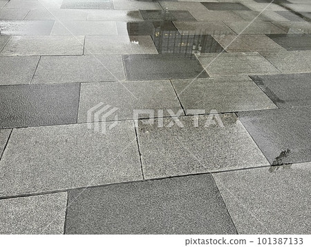 Tokyo: Cloudy day, puddle in Marunouchi/The buildings in Tokyo 101387133