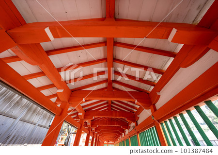 Hiyomisaki神社的風景 101387484