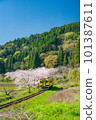 Isumi Railway in full spring 101387611