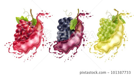 Realistic grape splash. Wine berries different varieties in flying color liquids, vines in juice, dessert alcoholic drink. Colorful water drops, 3d isolated elements utter vector set Realistic grape splash. Wine berries different varieties in flying color liquids, vines in juice, dessert alcoholic drink. Colorful water drops, 3d isolated elements utter vector set 101387733