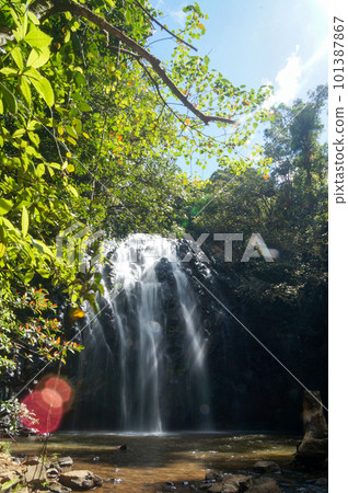 埃林格瀑佈在陽光下的阿瑟頓高原上 埃林格瀑佈在陽光下的阿瑟頓高原上 101387867