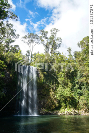 Mila Mila Falls on the Atherton Tablelands 101387871