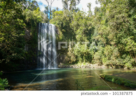 Mira Mira Falls flowing through dense forest 101387875