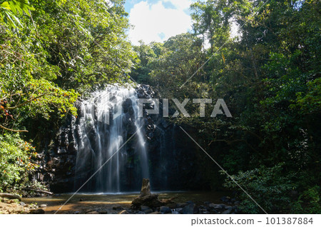 埃林格瀑佈在陽光和陰涼處的阿瑟頓高原上 埃林格瀑佈在陽光和陰涼處的阿瑟頓高原上 101387884