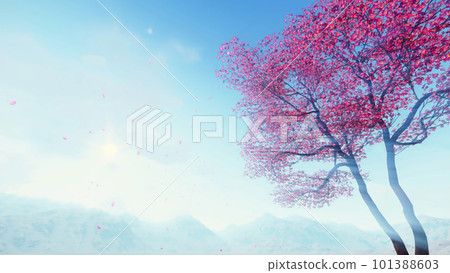 Cherry blossoms falling petals against sunny sky 101388603