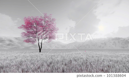 Pink sakura tree on black and white background 3D 101388604