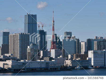 從彩虹橋看到的東京鐵塔 101388748