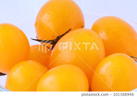 yellow mini tomato 07 yellow mini tomato 07 101388948