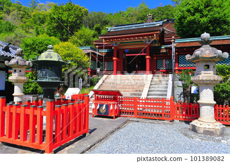 [Wakayama Prefecture] Kishu Toshogu Karamon gate in sunny weather 101389082