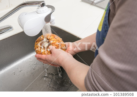 [菠蘿洗淨切塊] 101389508