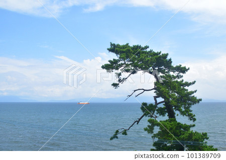 JR九州指宿枕崎線鹿兒島中央站～指宿站之間的風景（2022年夏） 101389709