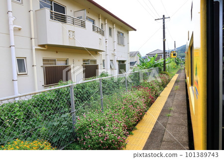 Scenery between Kagoshima Chuo Station and Ibusuki Station on the JR Kyushu Ibusuki Makurazaki Line (Summer 2022) Scenery between Kagoshima Chuo Station and Ibusuki Station on the JR Kyushu Ibusuki Makurazaki Line (Summer 2022) 101389743