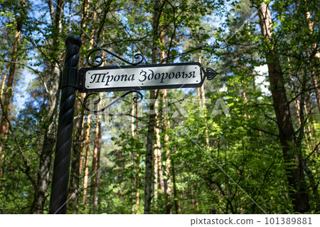 Blurred summer forest and plate with inscription on Rusian pathway of health in foreground close up 101389881