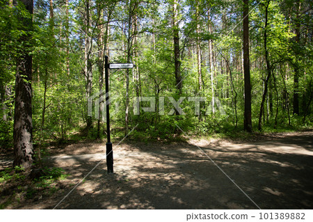 Hiking trail in natural summer forest and pillar with inscription pathway of health. 101389882