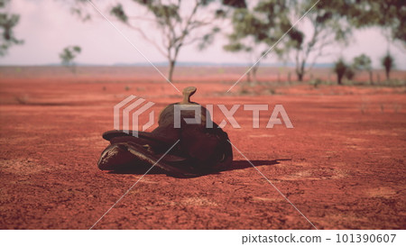 Old decorated mexican saddle lying on sand Old decorated mexican saddle lying on sand 101390607